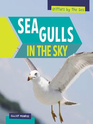 cover image of Sea Gulls in the Sky